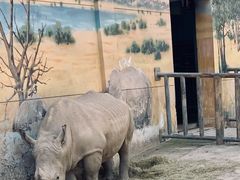 -西安秦岭野生动物园