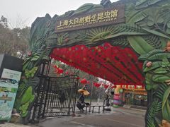 -上海大自然野生昆虫馆(东方明珠·爬宠昆虫探索中心)