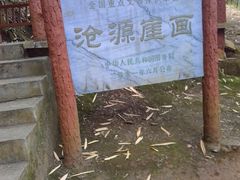 -沧源崖画