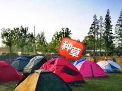 -前小桔亲子创意农场·草莓采摘·露营烧烤
