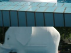 -青年湖公园水上世界