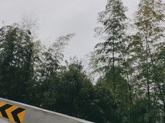 -南靖田螺坑土楼群景区