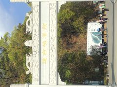 -羚羊峡古栈道森林公园