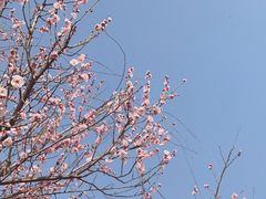 -蜀冈西峰生态公园