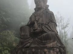 -武陵山森林公园