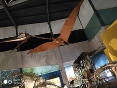 -湖南省地质博物馆