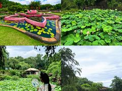 -广州莲花山旅游区
