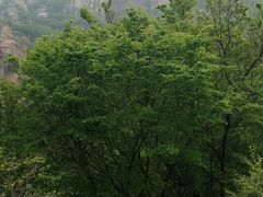 -北京密云天门山风景区