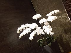 -上海大宁福朋喜来登酒店大堂吧(共和新路店)