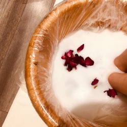 -奥斯芬欧系贵族SPA