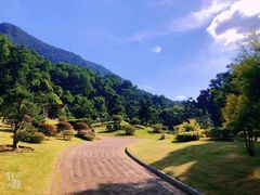 -深圳仙湖植物园