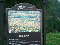 -保利石象湖景区