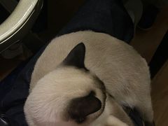 -剧狐剧本杀·月球探案馆(人民广场1号店)