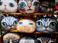 -猫咪博物馆(顶澳仔猫街店)