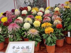-北海公园