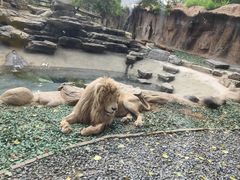 -北京野生动物园