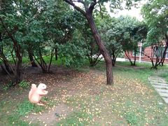 -长春公园(普阳街道)