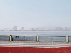 -星光岛