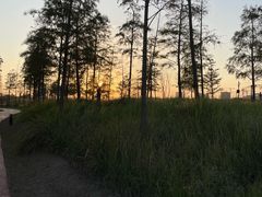 -春花秋色城市公园