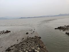 -深圳湾公园(南山区)