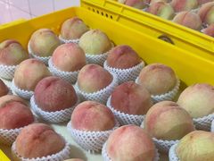 -老袁家蜜桃农场·阳山水蜜桃