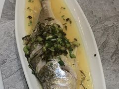 -老绍兴养和饭店(向阳不夜城店)