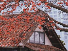 -喜洲吧·江畔老船厂·庭院餐厅(喜临院店)