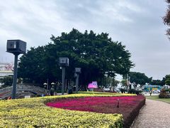-石炮台公园