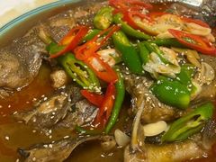 -呼吸森林·生态农庄农家乐私房菜