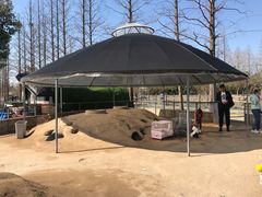 -前小桔亲子创意农场·草莓采摘·露营烧烤