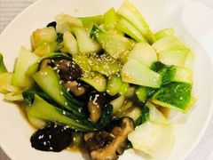 -熊猫川菜馆 panda chine