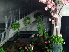 -新悦·霞浦海鲜生(上下杭店)