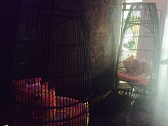 -上海外滩英迪格酒店