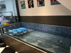 -Oh My Dog宠物沙龙(伊珊娜皮毛护理店)