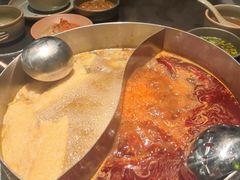 -季季山·云南野生菌火锅(上海首店)