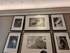 -PAUL LAFAYET 法式甜品(港汇广场店)