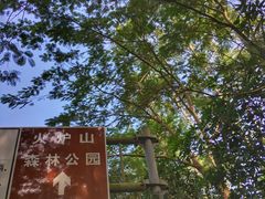 景点-火炉山森林公园