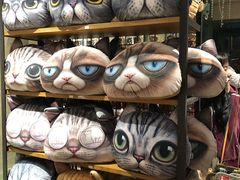 -猫咪博物馆(顶澳仔猫街店)