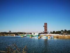 -春花秋色城市公园