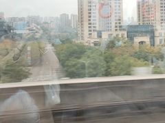 -颜氏双江清水鱼一养身火锅(磁器口店)