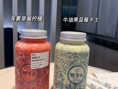 -野萃山·潮汕厚果汁(十亩地店)