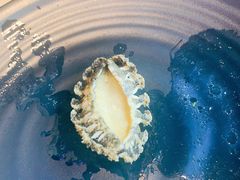 鲜活鲍鱼-红盔甲·小龙虾(车公庙店)