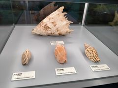 -天津古林古海岸遗迹博物馆