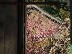 -颐和园