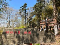 -莫干山风景区