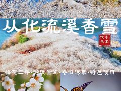 -广州市流溪河国家森林公园