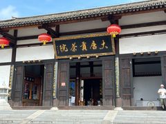 -大唐贡茶院