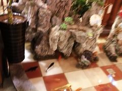 -火儿旺重庆老火锅 (吉力湖街店)