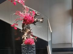 -锦府园(环球港店)