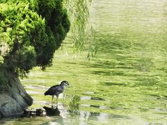 -苏州河梦清园环保主题公园